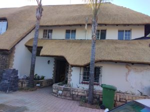 WhatsApp Image 2023-07-21 at 11.18.24