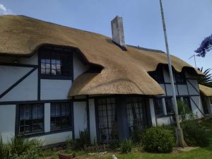 WhatsApp Image 2023-07-21 at 11.18.24(1)