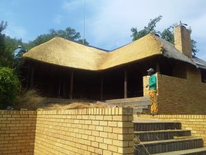 WhatsApp Image 2023-07-21 at 11.22.38