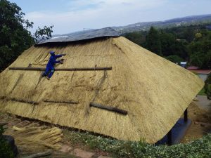 WhatsApp Image 2023-07-21 at 11.23.12