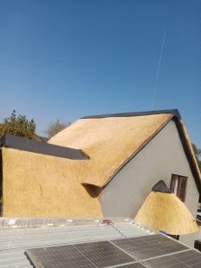 WhatsApp Image 2024-08-17 at 20.07.19