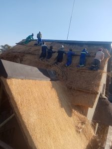 WhatsApp Image 2024-08-17 at 20.07.20