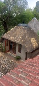 WhatsApp Image 2024-08-17 at 20.07.21(1)