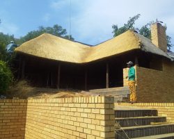 WhatsApp Image 2023-07-21 at 11.22.38