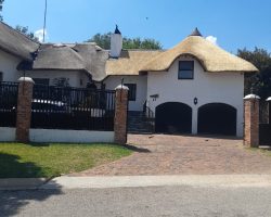 WhatsApp Image 2023-07-21 at 11.24.14 (1)