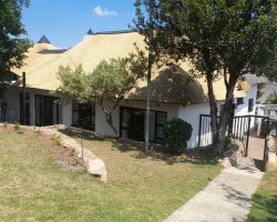 WhatsApp Image 2023-07-21 at 11.27.24