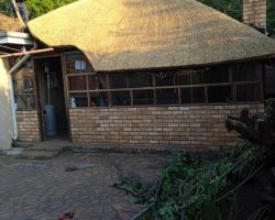 WhatsApp Image 2023-07-21 at 11.30.42